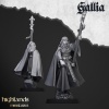 demoiselle_de_gallia__pieds_old_world